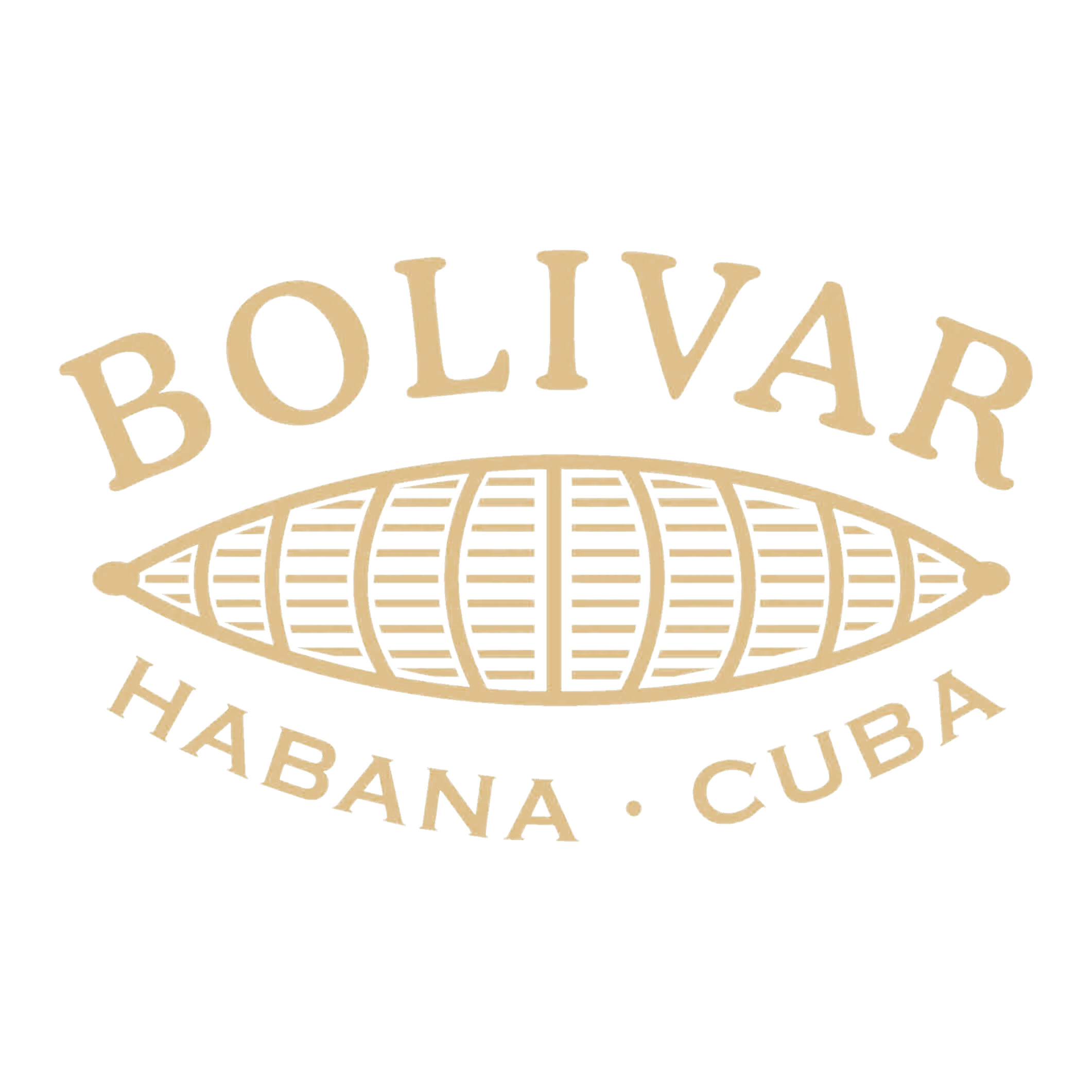 Bolivar copy